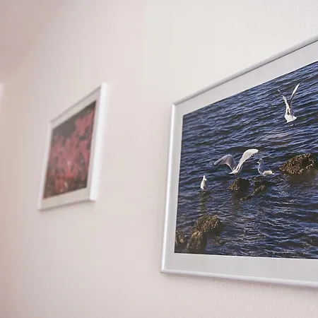 Apartment Thea Zadar