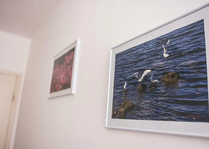 Apartmán Thea Zadar